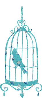 birdcage bp - Free PNG