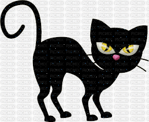 MMarcia gif cat black gato preto - Nemokamas animacinis gif