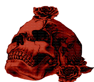 Gothic skull by nataliplus - png grátis