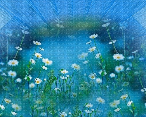 bg blå med vita blommor - 無料png