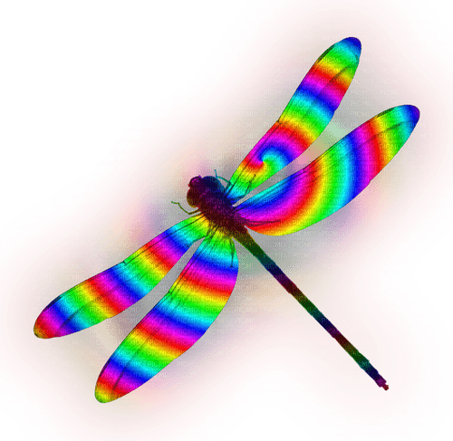 Dragonfly.Rainbow - PNG gratuit