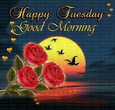 Happy Tuesday - gratis png