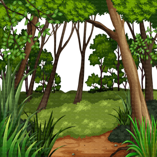 FOREST BG FORET FOND - Free PNG
