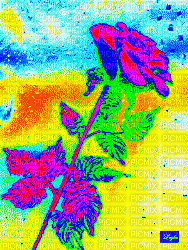 1 szép rózsa neon - Besplatni animirani GIF