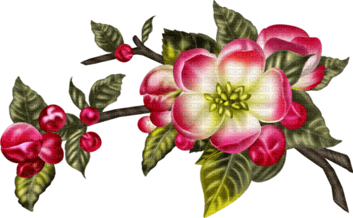 Frühling, Blumen - PNG gratuit
