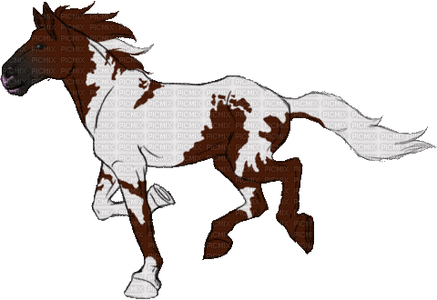 Horse - Безплатен анимиран GIF