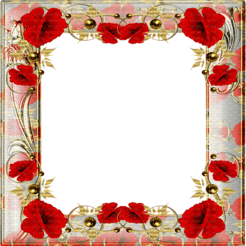 poppies frame - zdarma png