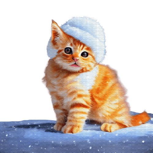 kikkapink kitten animal cute deco winter cat - 無料png