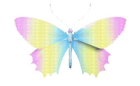 Vlinder - Ingyenes animált GIF
