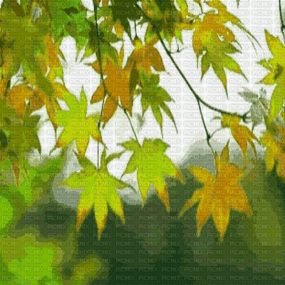 autumn animated bg colorful - GIF animé gratuit