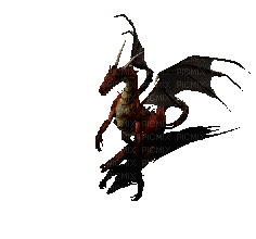 Dragon Shadow - Gratis animeret GIF