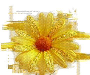 fleur jaune.Cheyenne63 - Δωρεάν κινούμενο GIF