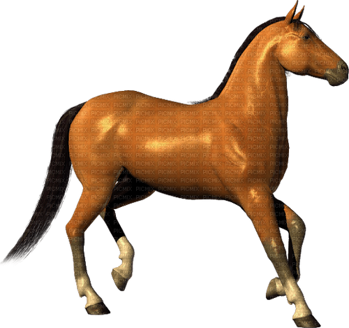 Zizi_Diamond Horse - Free PNG