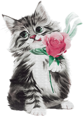 soave cat animals deco flowers rose black white - безплатен png