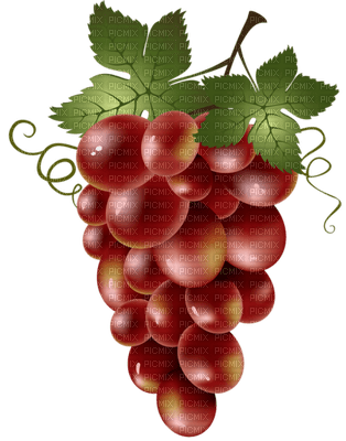 patricia87 fruit - 無料png