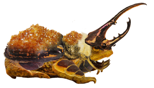 citrine beetle knight frog - nemokama png