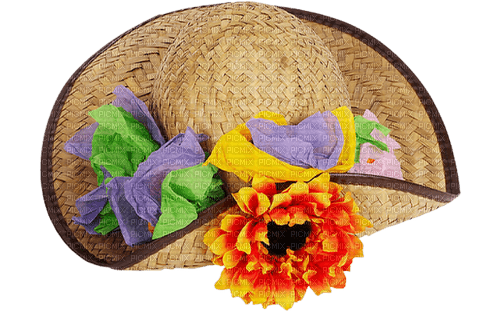 Соломенная  шляпа - nemokama png