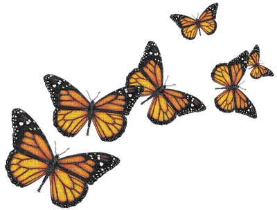 Kaz_Creations Deco Butterflies Butterfly Colours - фрее пнг