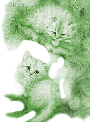 Y.A.M._Fantasy cat green - PNG gratuit
