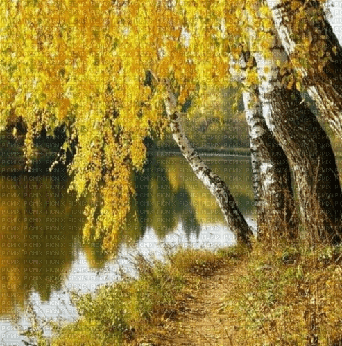 Rena Herbst Hintergrund Background - nemokama png