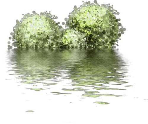 Bäume mit Wasser - ücretsiz png