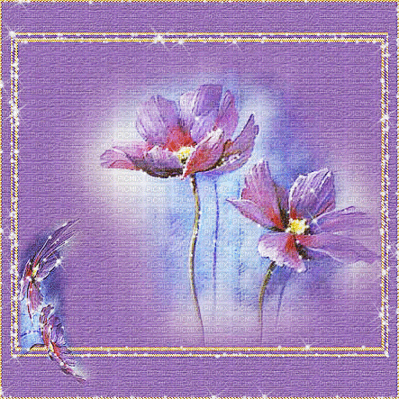 kikkapink purple gif fond background - Besplatni animirani GIF