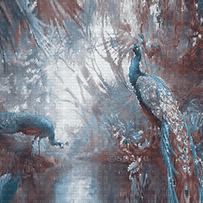 soave background animated peacock forest water - GIF animé gratuit