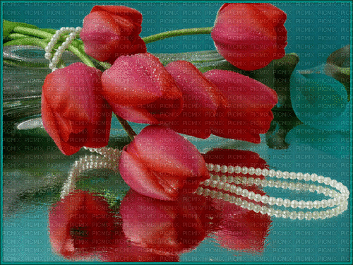 MMarcia gif tulipa tulip tulipe fond - Gratis animerad GIF