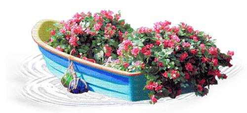 Boot met planten - gratis png