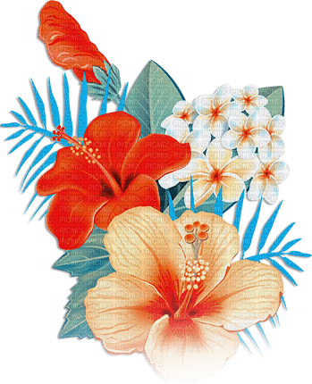 soave deco summer flowers tropical blue orange - PNG gratuit