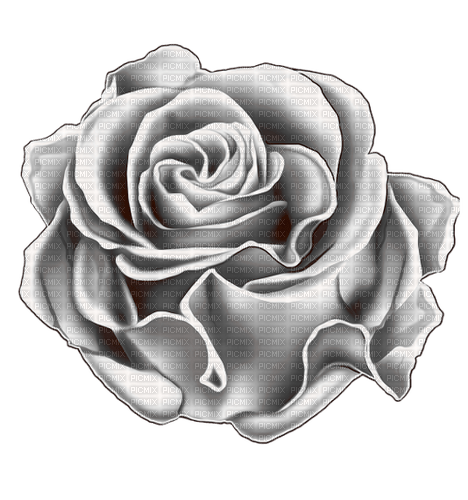 gothic rose by nataliplus - besplatni png