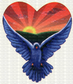 colombe coeur - Nemokamas animacinis gif