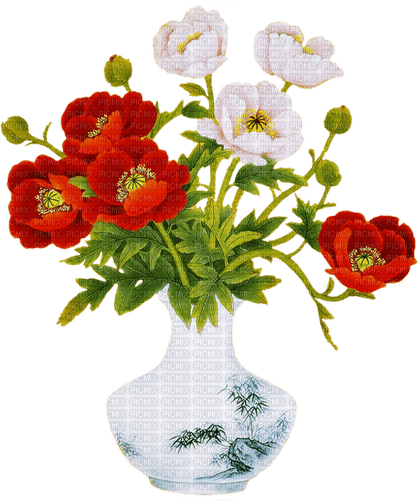 poppies fleur, Adam64 - png gratuito