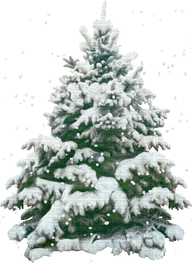 tree arbre baum fir tanne sapin tube deco  winter hiver snow snowfall neige schnee gif anime animated animation - GIF animé gratuit
