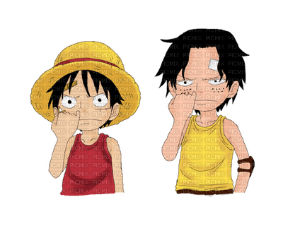 ace et luffy - 無料png