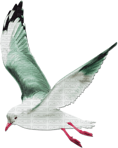 soave deco summer bird green - PNG gratuit