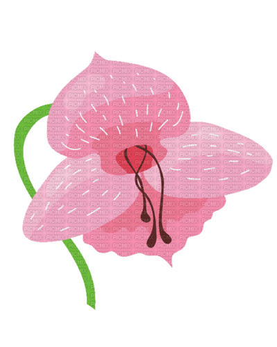 kikkapink pink anime watercolor flower - png gratis