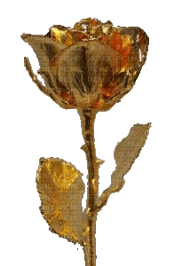 Rose Bud Glass - kostenlos png