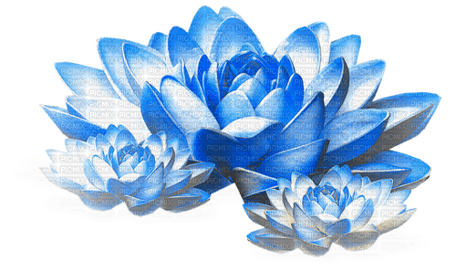 Flowers.Blue.White - darmowe png