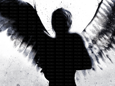 dark angel - 無料png