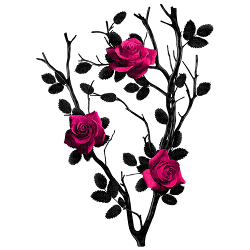 Gothic.Roses.Black.Pink - Free PNG