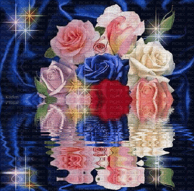 rosas multicolor - Бесплатный анимированный гифка