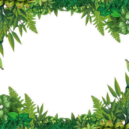 sm3 border jungle green png tropical summer  image - Free PNG