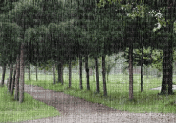 Rain Nitsa Papakon - GIF เคลื่อนไหวฟรี