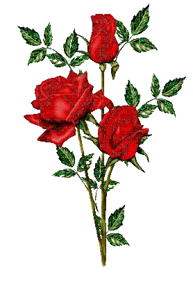 red  vintage roses - Ücretsiz animasyonlu GIF