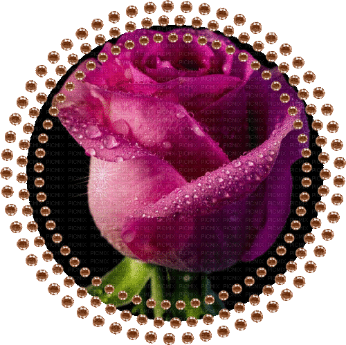 ani-blomma--flower - GIF animé gratuit