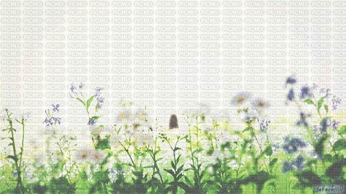 Background Meadow - Zdarma animovaný GIF