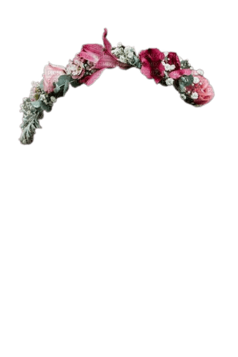 couronne fleurs - Free PNG