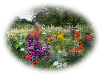 patymirabelle fleurs fond - PNG gratuit