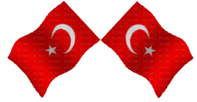turkish flag - 免费动画 GIF